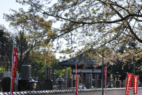 一般的な先祖供養墓の写真