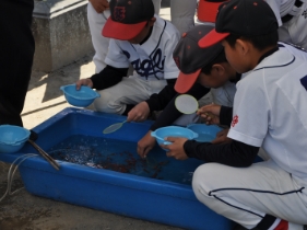 佐間観音お祭り子供たち